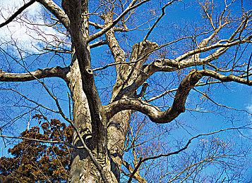 本周FAMI通新作评分 《异度神剑3》36分